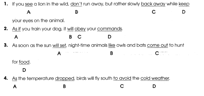 Sách bài tập Tiếng Anh 12 Global Success Unit 8 Grammar