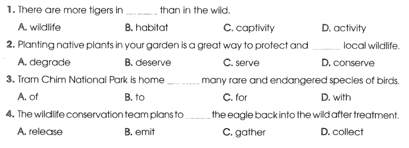 Sách bài tập Tiếng Anh 12 Global Success Unit 8 Vocabulary 
