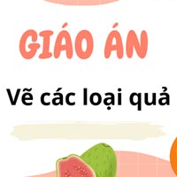 Giáo án: Vẽ các loại quả