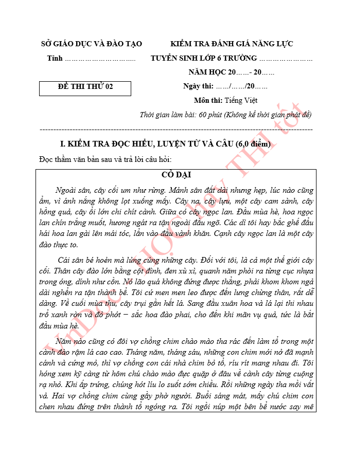 Đề thi thử vào lớp 6 môn Tiếng Việt Chương trình mới