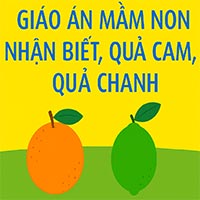 Giáo án: Nhận biết tập nói quả cam, quả chanh