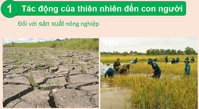 PowerPoint Mối quan hệ giữa con người và thiên nhiên