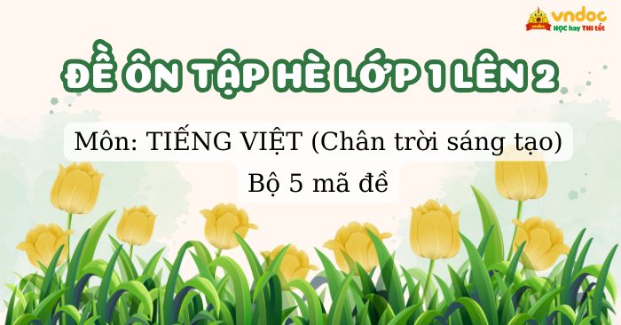 Bộ 5 Bài tập hè lớp 1 lên lớp 2 môn Tiếng Việt Chân trời sáng tạo (Có đáp án)