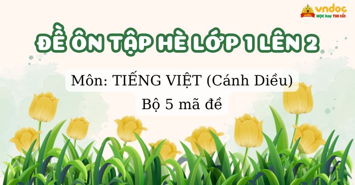 Bộ 5 đề Bài tập hè lớp 1 lên lớp 2 môn Tiếng Việt Cánh Diều (Có đáp án)