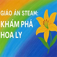 Giáo án Steam: Khám phá hoa ly