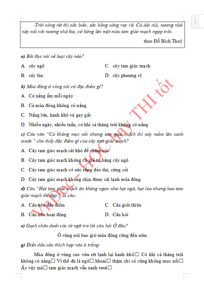 Đề ôn tập hè lớp 2 lên lớp 3 môn Tiếng Việt