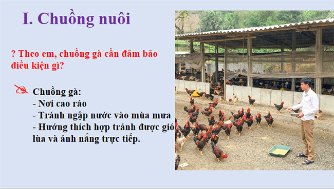 Giáo án PowerPoint Công nghệ 7 Bài 12