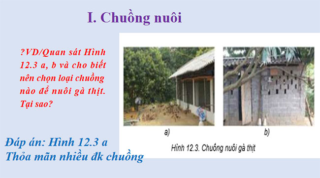 Giáo án PowerPoint Công nghệ 7 Bài 12