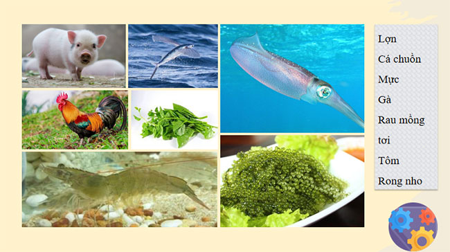 Giới thiệu về thủy sản