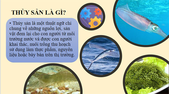 Giới thiệu về thủy sản