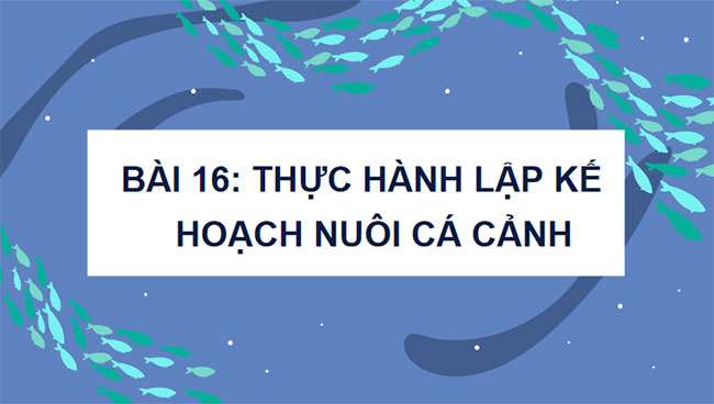 Giáo án PowerPoint Công nghệ 7 Bài 16