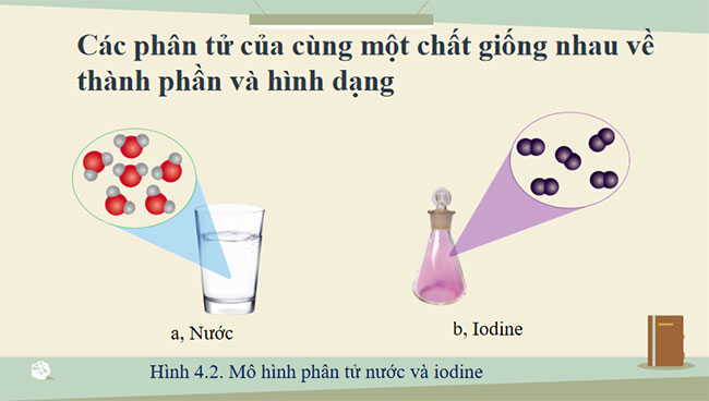 PowerPoint KHTN 7 Bài 4 Cánh diều