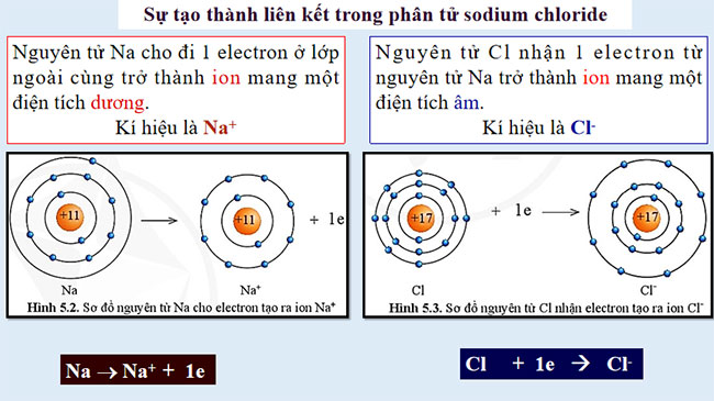 PowerPoint KHTN 7 Bài 5 Cánh diều