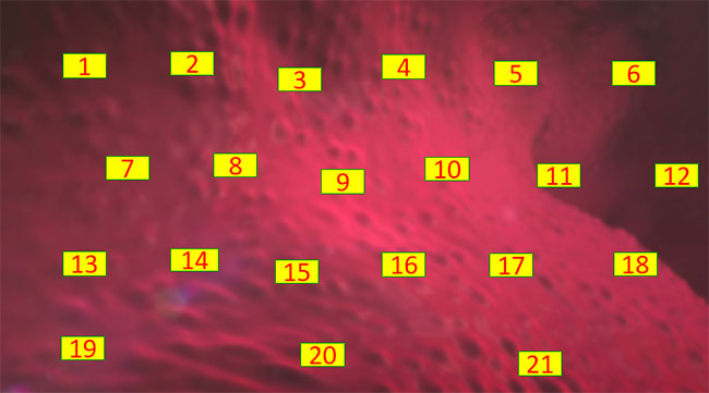 PowerPoint Công nghệ 7 Ôn tập chương 3