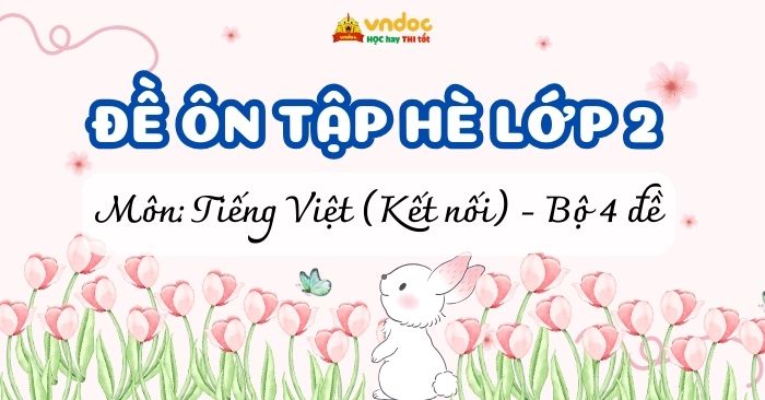 Bộ 4 Bài tập hè lớp 2 lên lớp 3 môn Tiếng Việt Kết nối tri thức (Có đáp án)