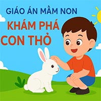 Giáo án: Khám phá con thỏ 