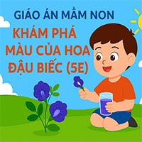 Giáo án: Khám phá màu của hoa đậu biếc 