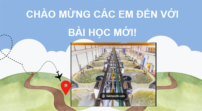 PowerPoint Công nghệ 12 Bài 20