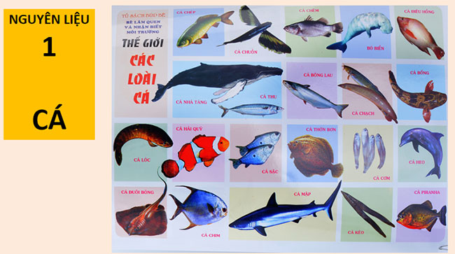 PowerPoint Công nghệ 12 Bài 21