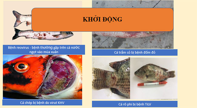 PowerPoint Công nghệ 12 Bài 23