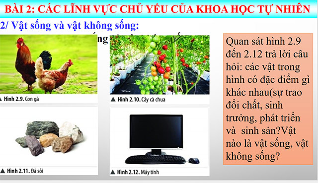 PowerPoint Khoa học tự nhiên 6 Các lĩnh vực chủ yếu của khoa học tự nhiên
