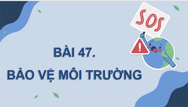KHTN 8 Bài 47 Bảo vệ môi trường