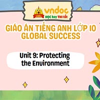 Giáo án tiếng Anh 10 Unit 9: Protecting the Environment