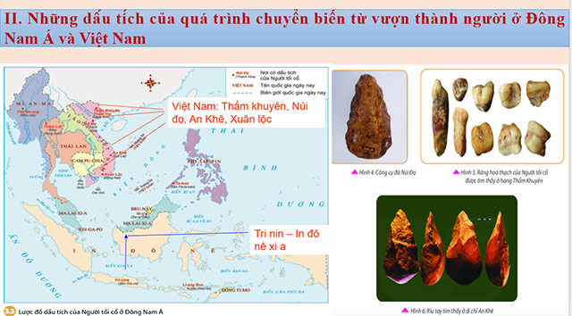 PowerPoint Nguồn gốc loài người