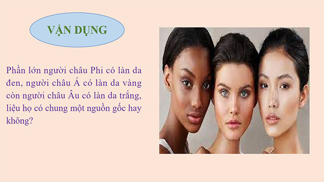 PowerPoint Nguồn gốc loài người