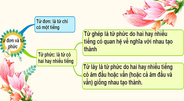 PowerPoint Ngữ văn 6 Bài 1: Thực hành tiếng Việt