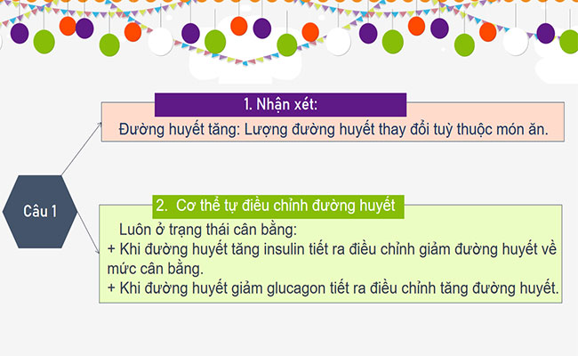 Điều hòa môi trường trong của cơ thể người