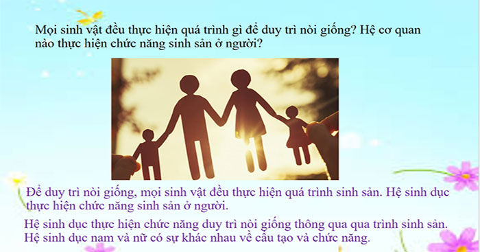 Sinh sản ở người