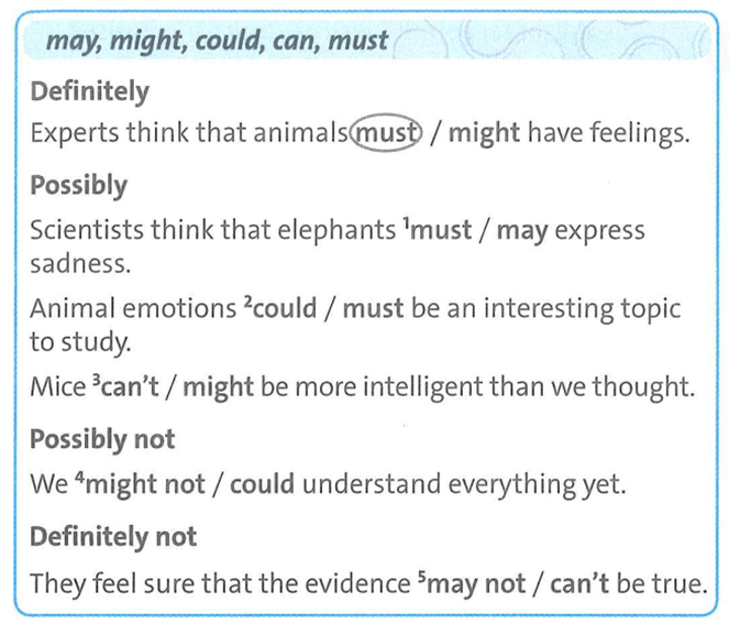 Friends Plus 9 Workbook giải Unit 4 Language Focus trang 27