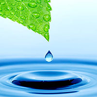 Giáo án Khoa học 4 Bài 1: Một số tính chất và vai trò của nước