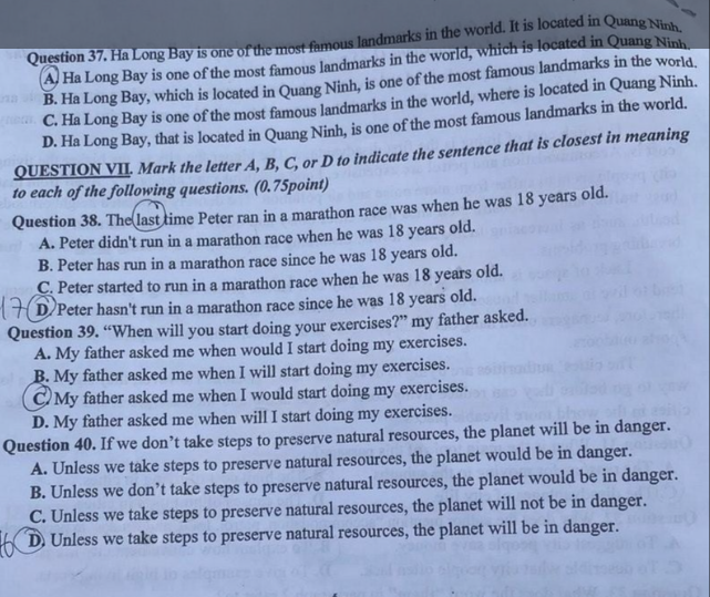 Đề thi tuyển sinh vào lớp 10 môn tiếng Anh Lai Châu Chính thức 2025 minh họa 1