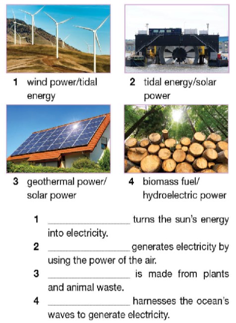 Tiếng Anh 12 Bright Workbook Unit 6 6a Reading