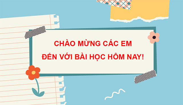 Quy trình trồng trọt