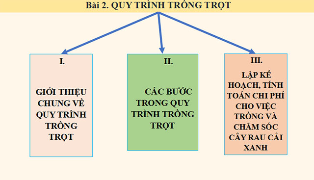Quy trình trồng trọt