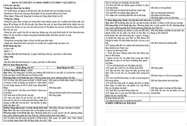 Giáo án Khoa học 5 Sự lớn lên và phát triển của thực vật