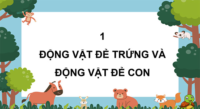 PowerPoint Khoa học 5 Sự sinh sản của động vật