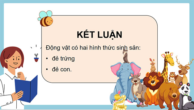 PowerPoint Khoa học 5 Sự sinh sản của động vật