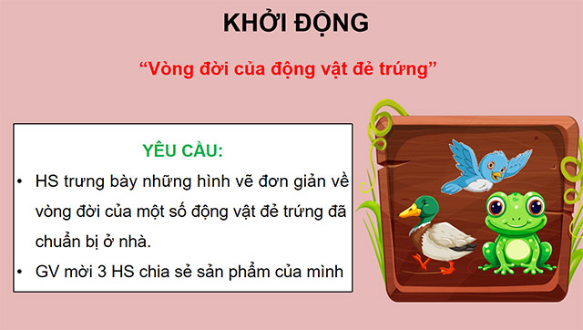 PowerPoint Khoa học 5 Sự lớn lên và phát triển của động vật