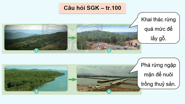 PowerPoint Khoa học 5 Tác động của con người đến môi trường