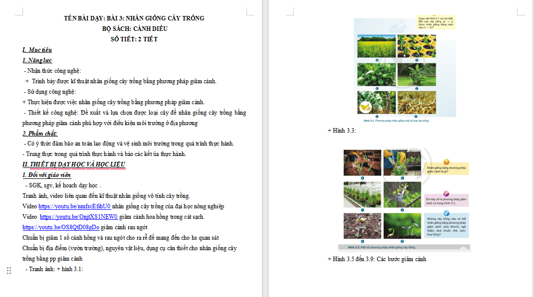 Nhân giống cây trồng