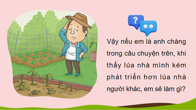 Phân bón hóa học