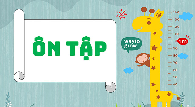 PowerPoint Khoa học 5 Ôn tập cuối năm