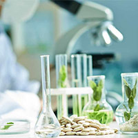 Giáo án Khoa học 5 Ôn tập cuối năm