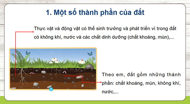 PowerPoint Khoa học 5 Thành phần và vai trò của đất 