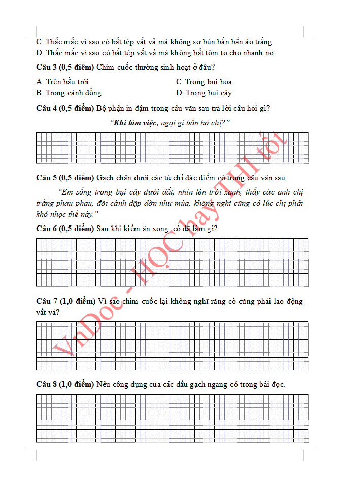 Đề ôn tập hè lớp 3 môn Tiếng Việt