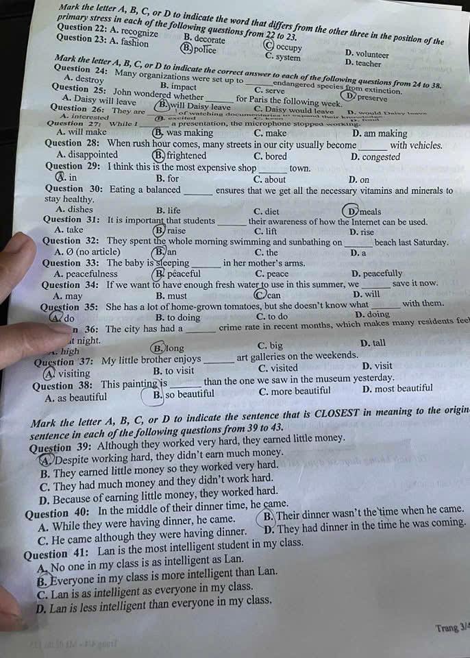 Đề thi tuyển sinh vào lớp 10 môn tiếng Anh Huế minh họa 3